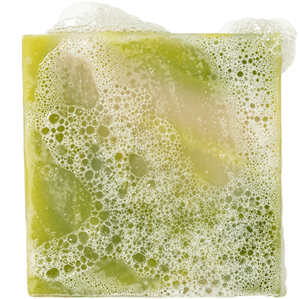 Dr. Squatch - Lather up and harness the power of freshness with Force Fresh,  our Cool Fresh Aloe bar in limited edition Grogu™-inspired packaging. This  revitalizing green bar is packed with nourishing